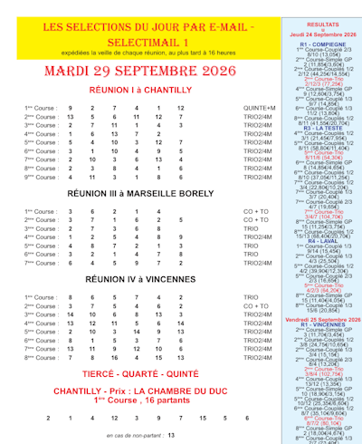 Vue d'un selectimail